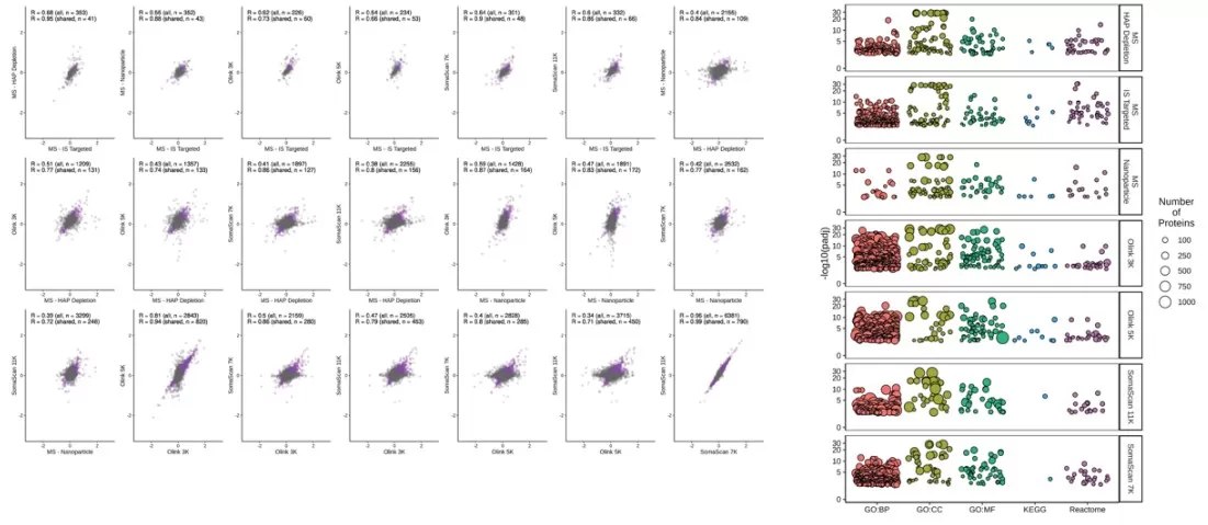 Correlation of coefficients between models for the shared aging marker proteins across different platforms, and enrichment analysis using significant age markers from each platform